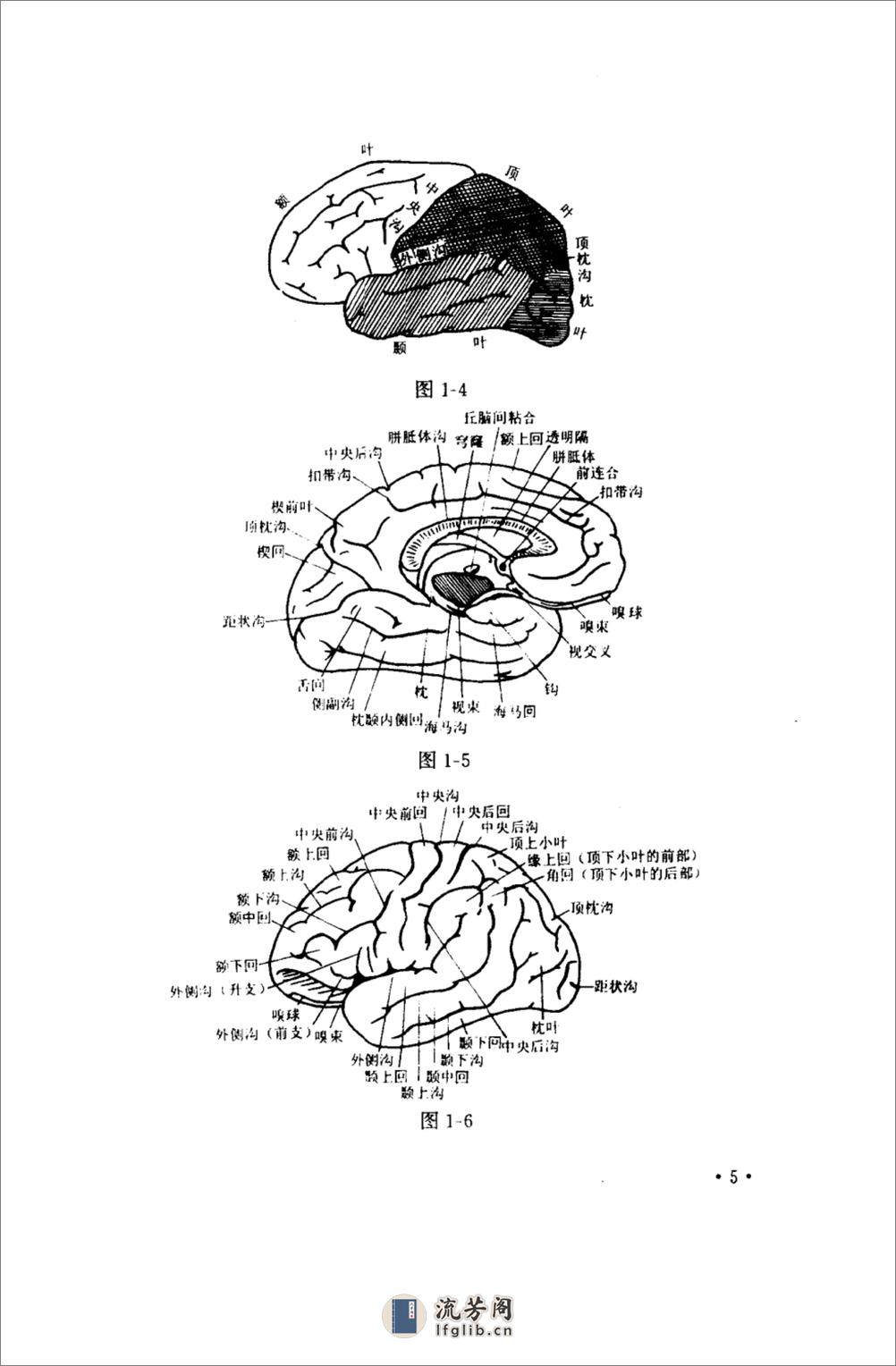 针灸六绝——针灸治疗神经疑难病_10058310_... - 第18页预览图