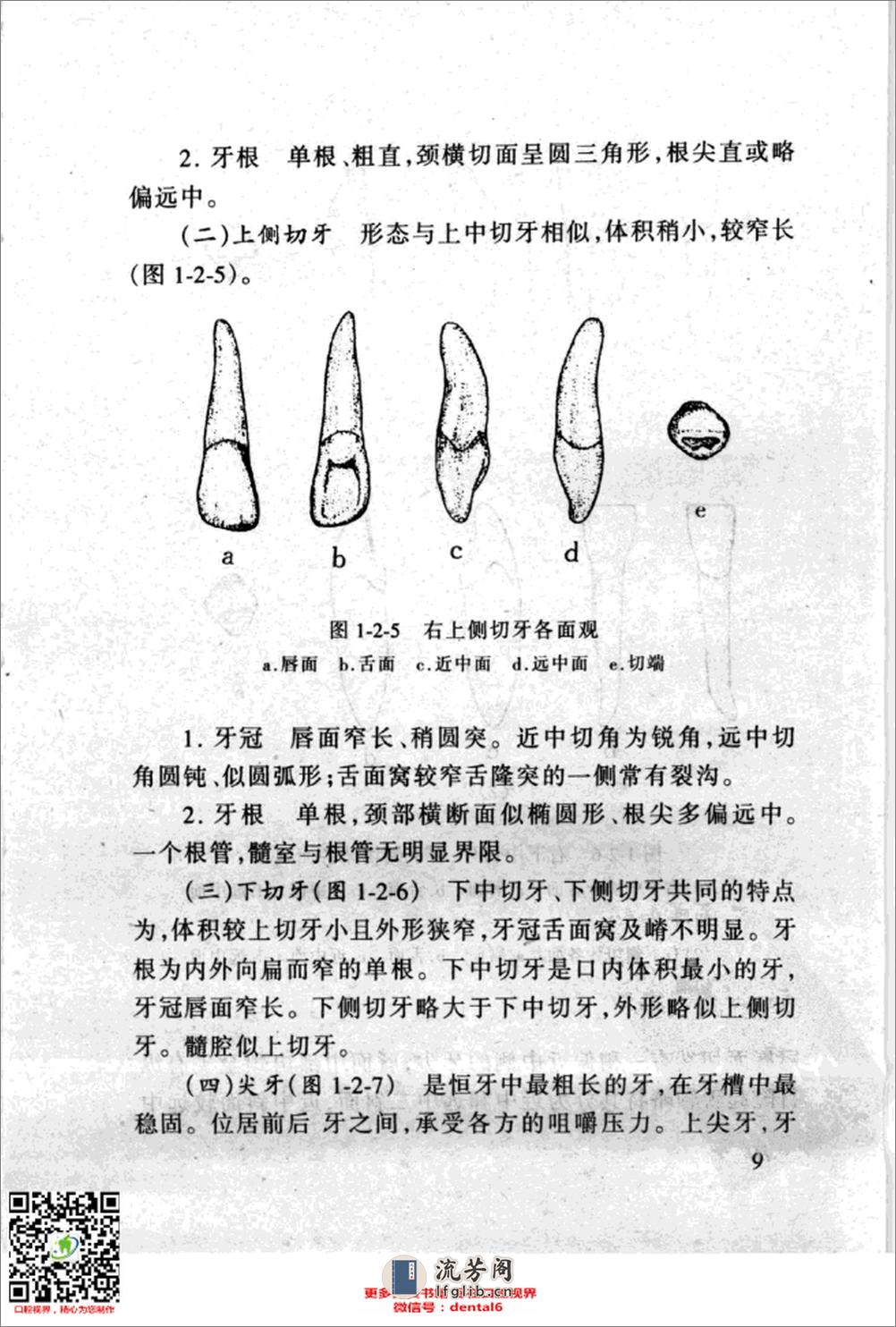 保牙、粘牙、植牙与制牙_11201941 - 第19页预览图