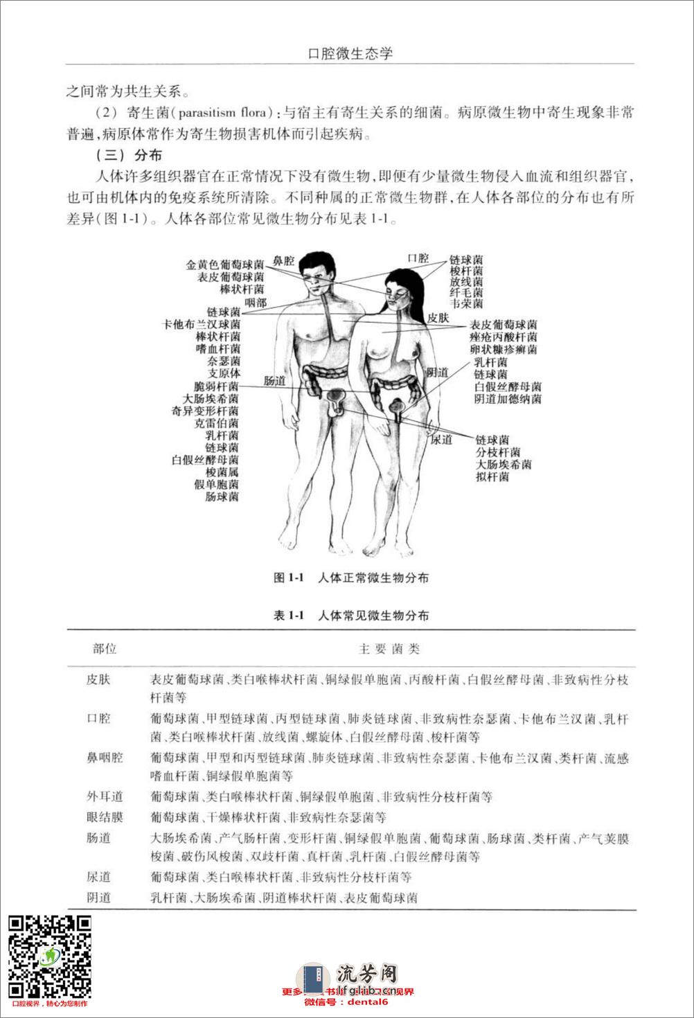 口腔微生态学 - 第20页预览图