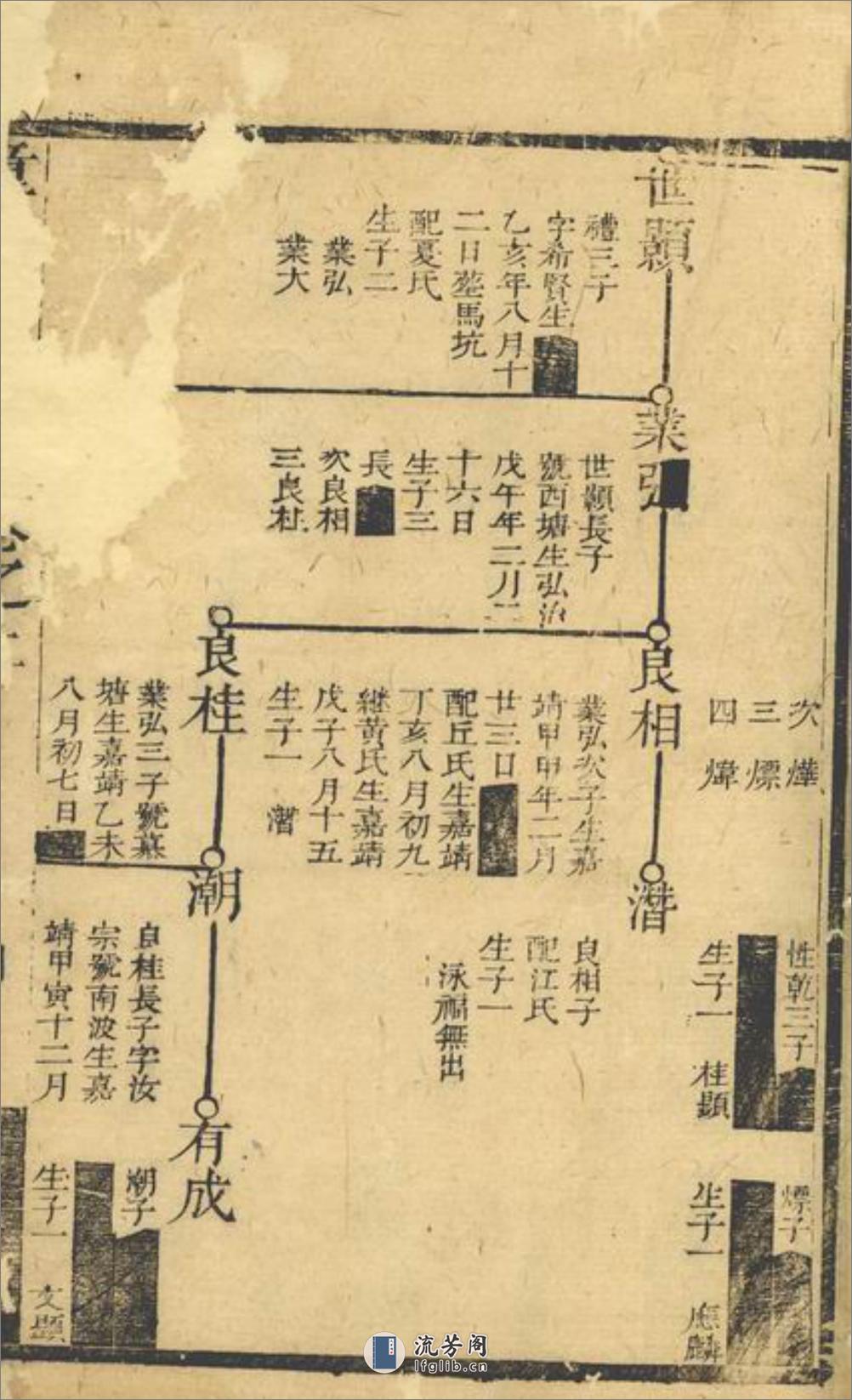 连城童氏族谱 - 第8页预览图