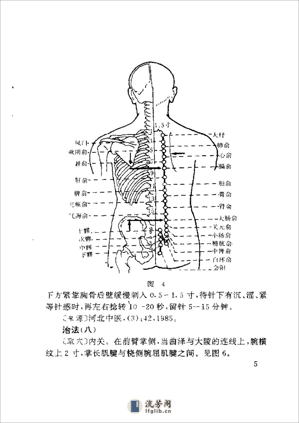 一针灵 - 第14页预览图