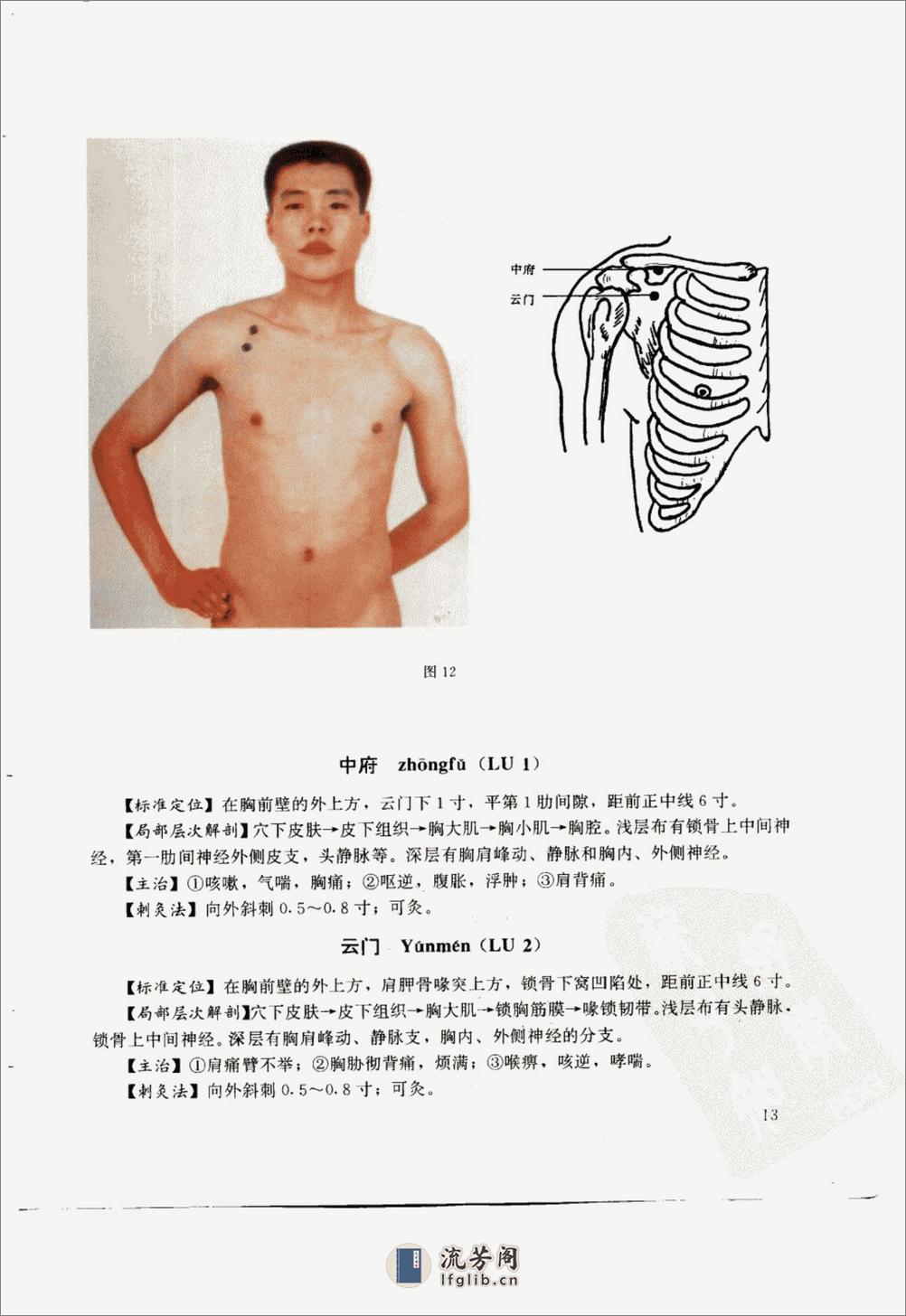 针灸腧穴彩色图谱_10297721_李瑞主编_中国... - 第19页预览图