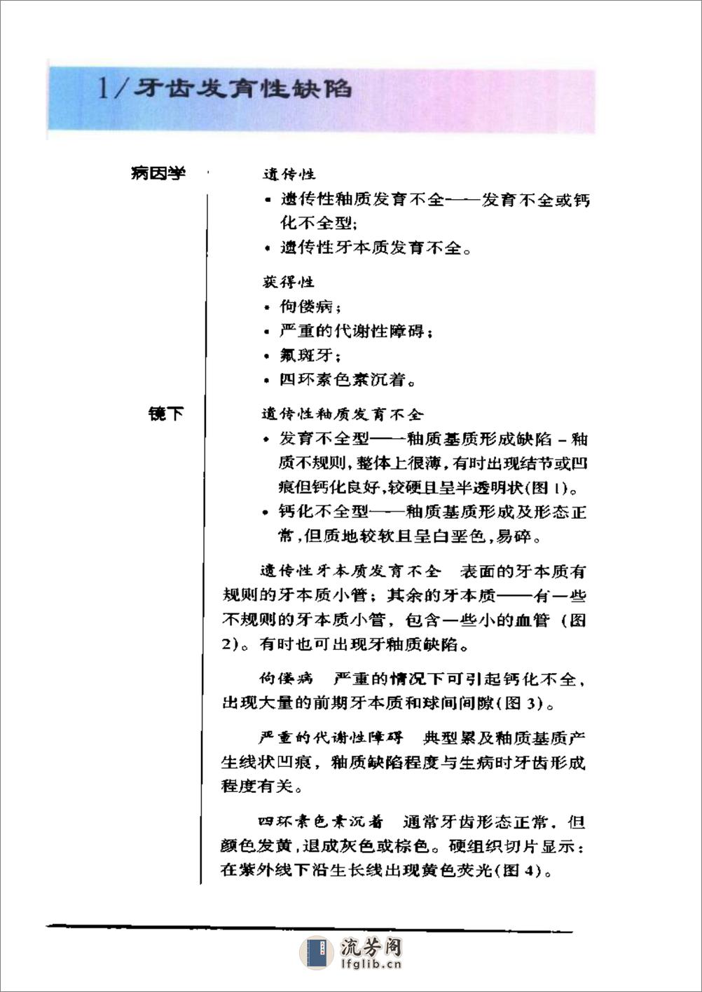 袖珍诊疗彩色图谱系列+口腔病理学 - 第7页预览图