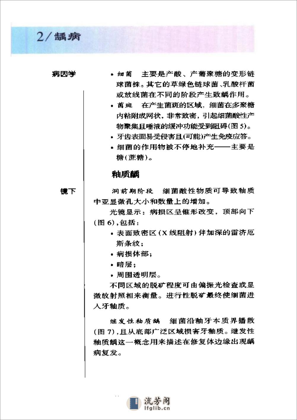 袖珍诊疗彩色图谱系列+口腔病理学 - 第9页预览图