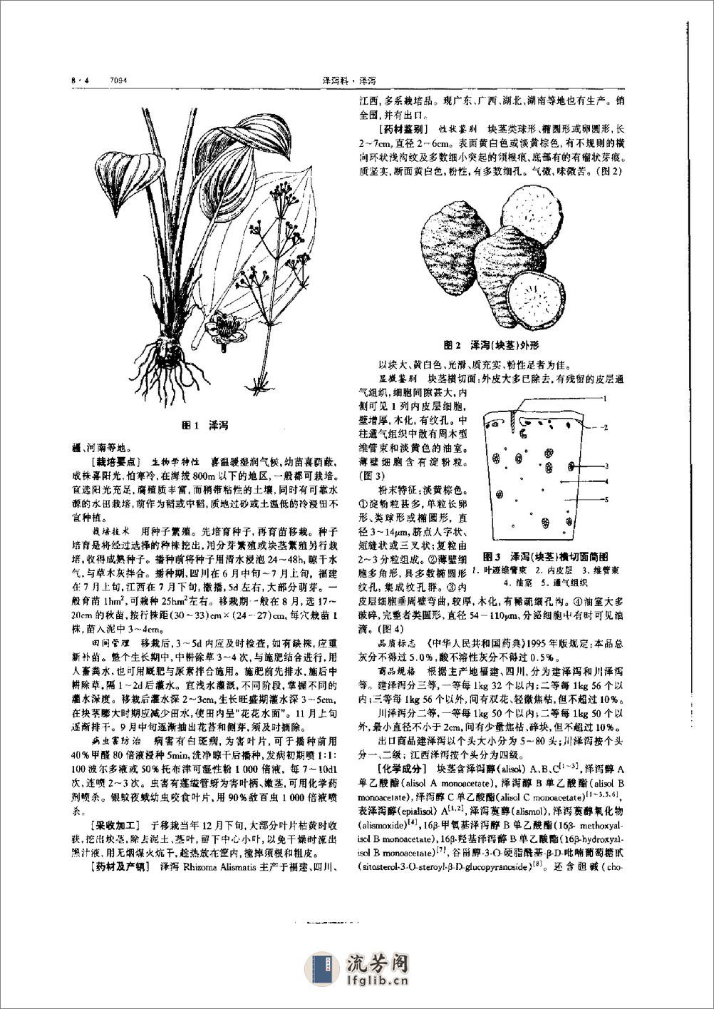 中华本草 8卷 - 第15页预览图