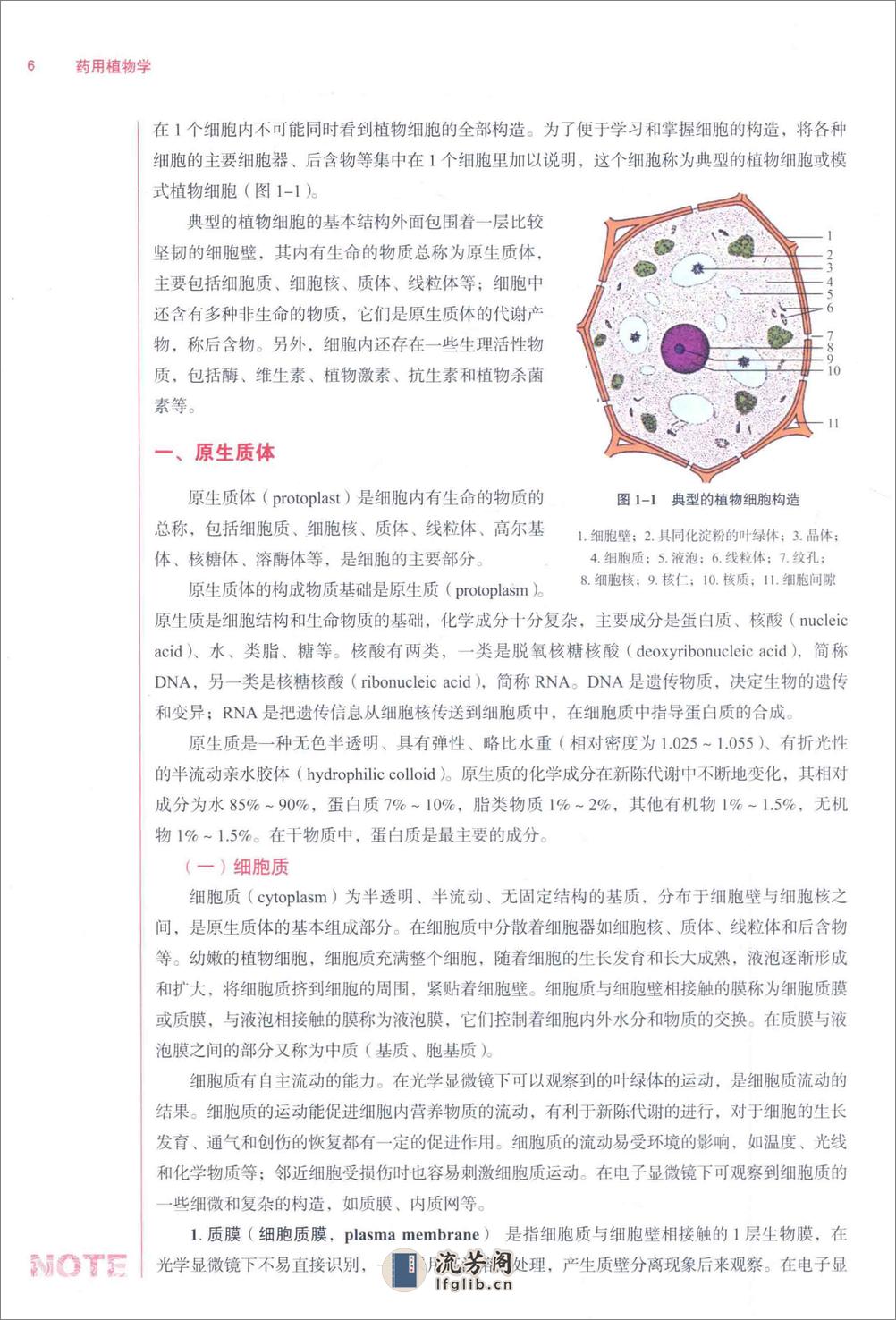 药用植物学  第4版 - 第20页预览图