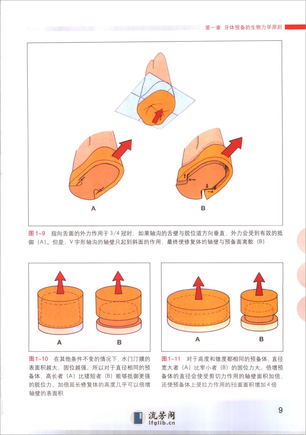 牙体预备基本原则 - 第20页预览图