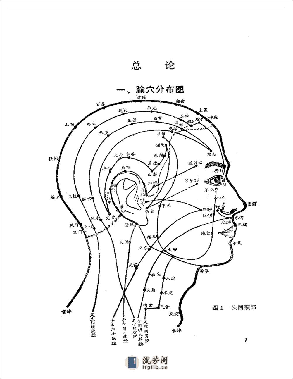 针灸简易取穴法 - 第15页预览图