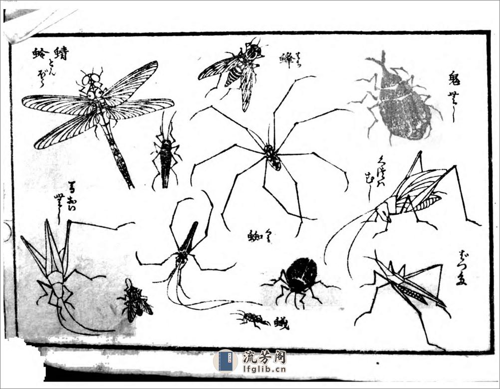 花鸟山水细画図式. - 第8页预览图