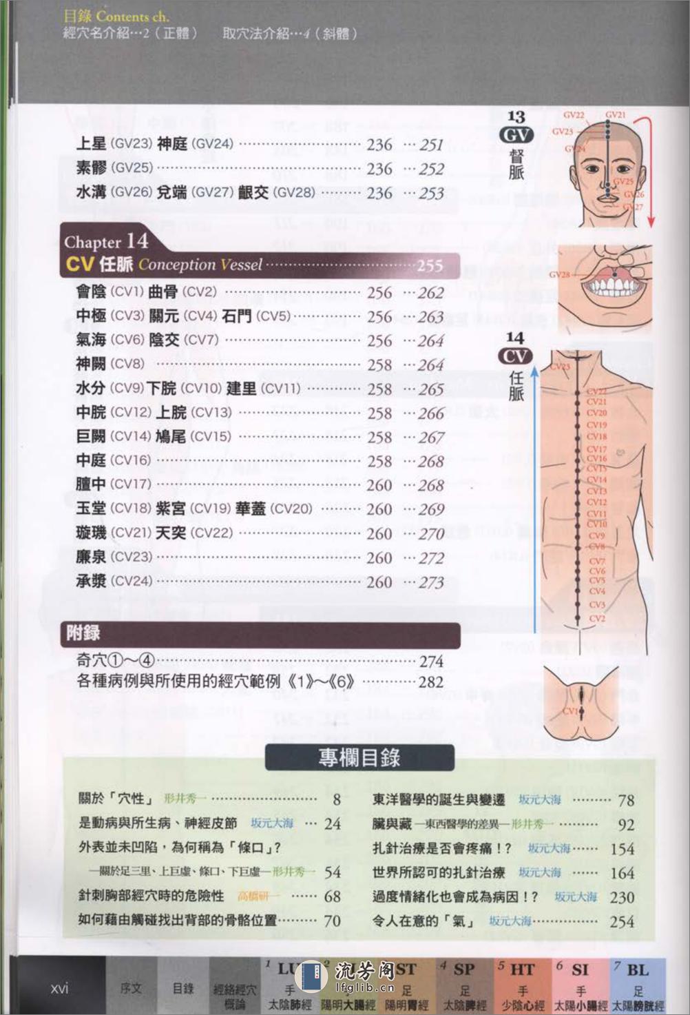 经穴大全 超科学 3D经穴解剖全书--台版-01 - 第18页预览图