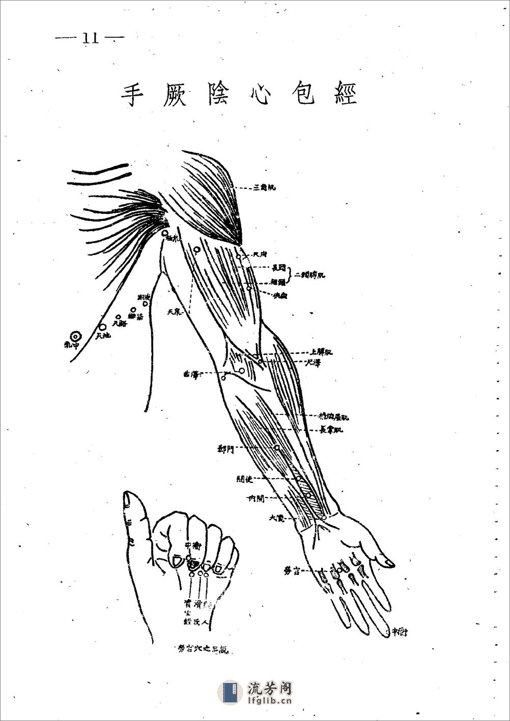 十四经穴图谱 日本本间祥白1959 - 第11页预览图