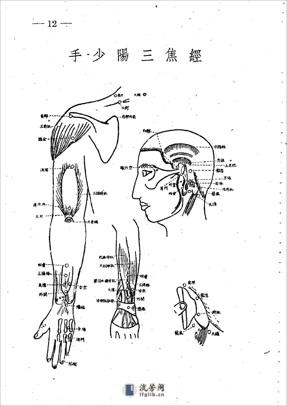十四经穴图谱 日本本间祥白1959 - 第12页预览图