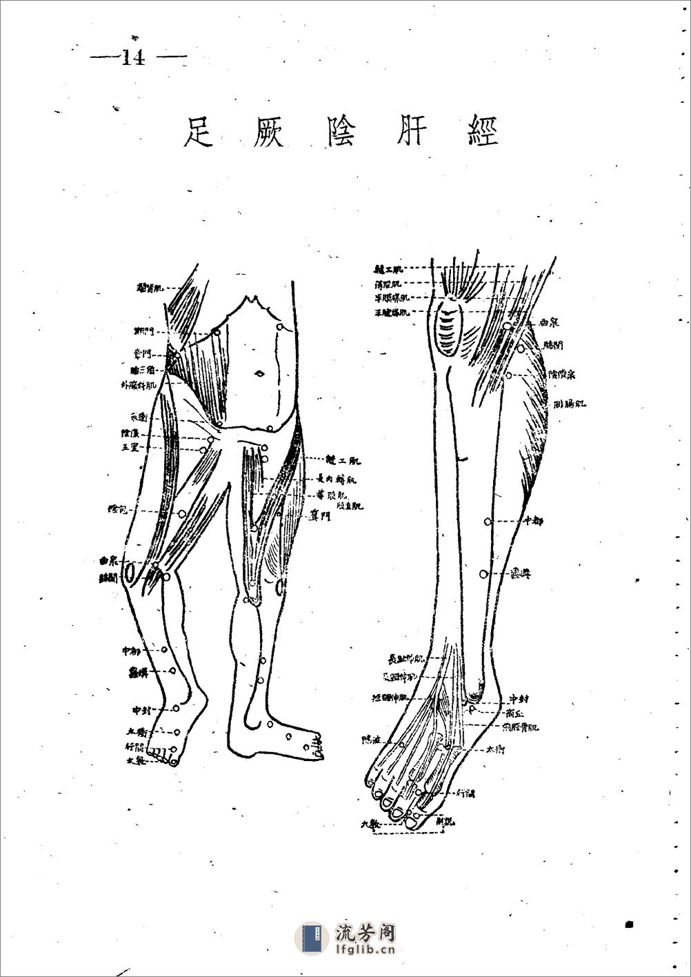 十四经穴图谱 日本本间祥白1959 - 第14页预览图