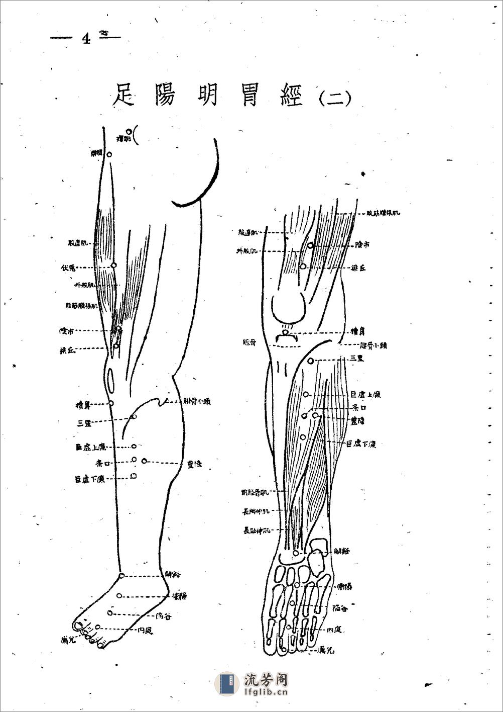十四经穴图谱 日本本间祥白1959 - 第4页预览图