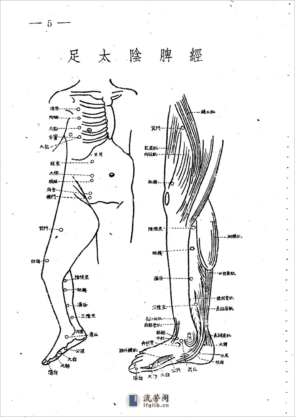 十四经穴图谱 日本本间祥白1959 - 第5页预览图