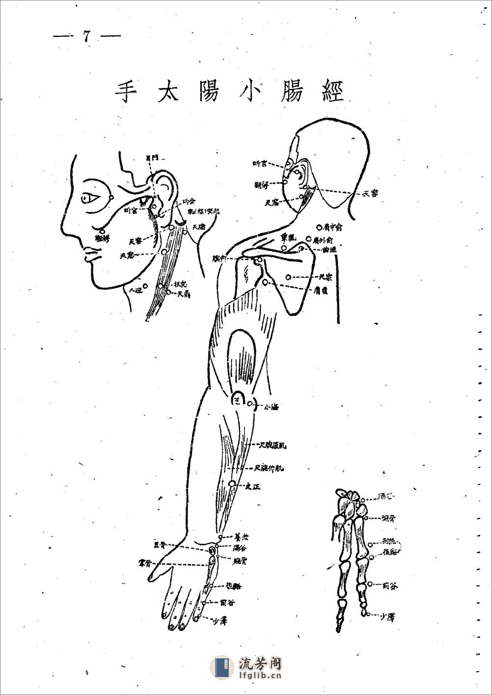 十四经穴图谱 日本本间祥白1959 - 第7页预览图