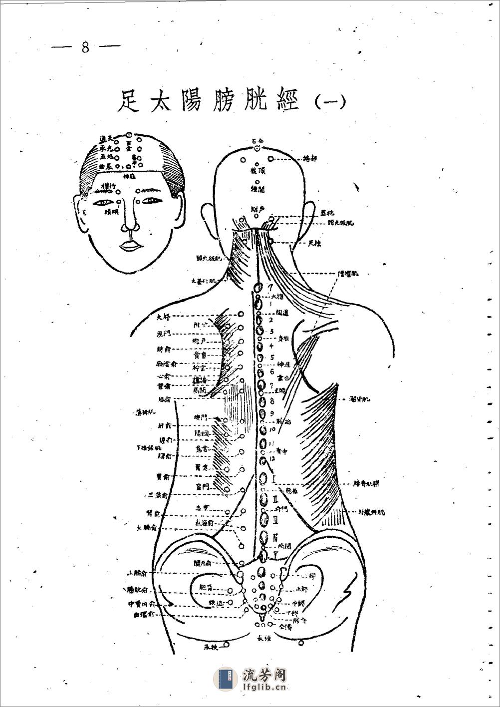 十四经穴图谱 日本本间祥白1959 - 第8页预览图
