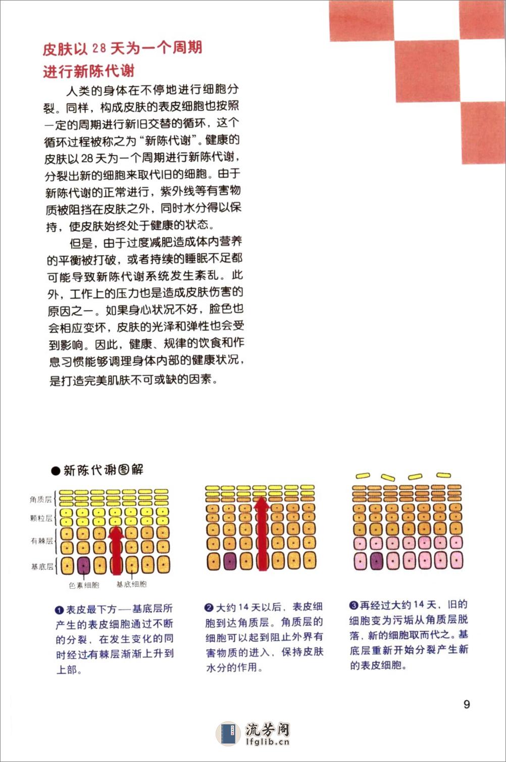 肌肤护理经典 - 第15页预览图