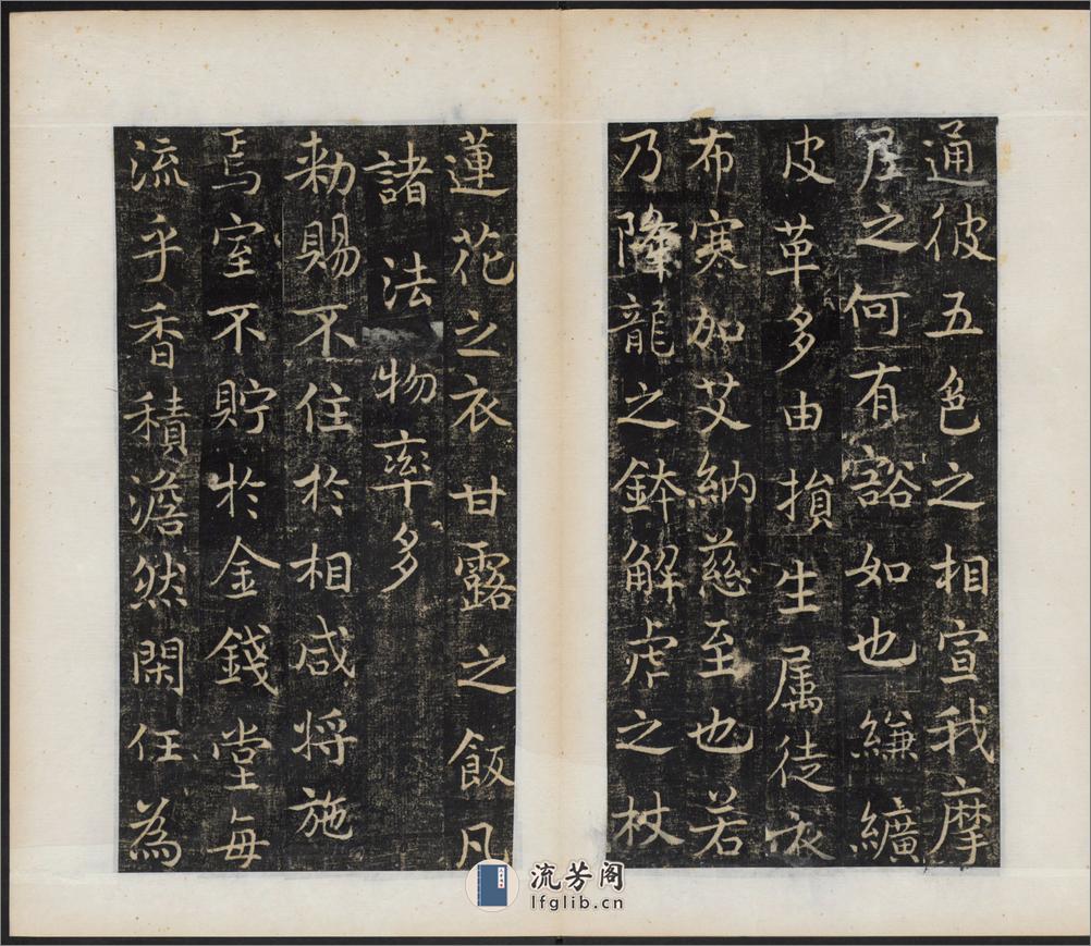 唐国师千福寺多宝塔院故法华楚金禅师碑.唐释飞锡撰.唐吴通书.民国拓本 - 第13页预览图