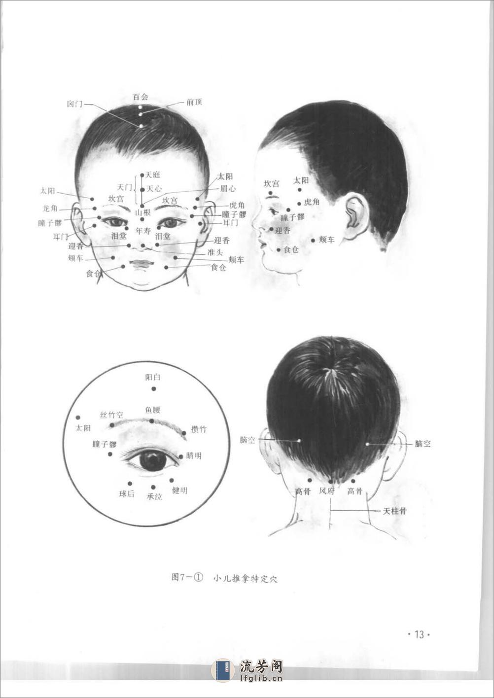 实用推拿图谱 - 第17页预览图