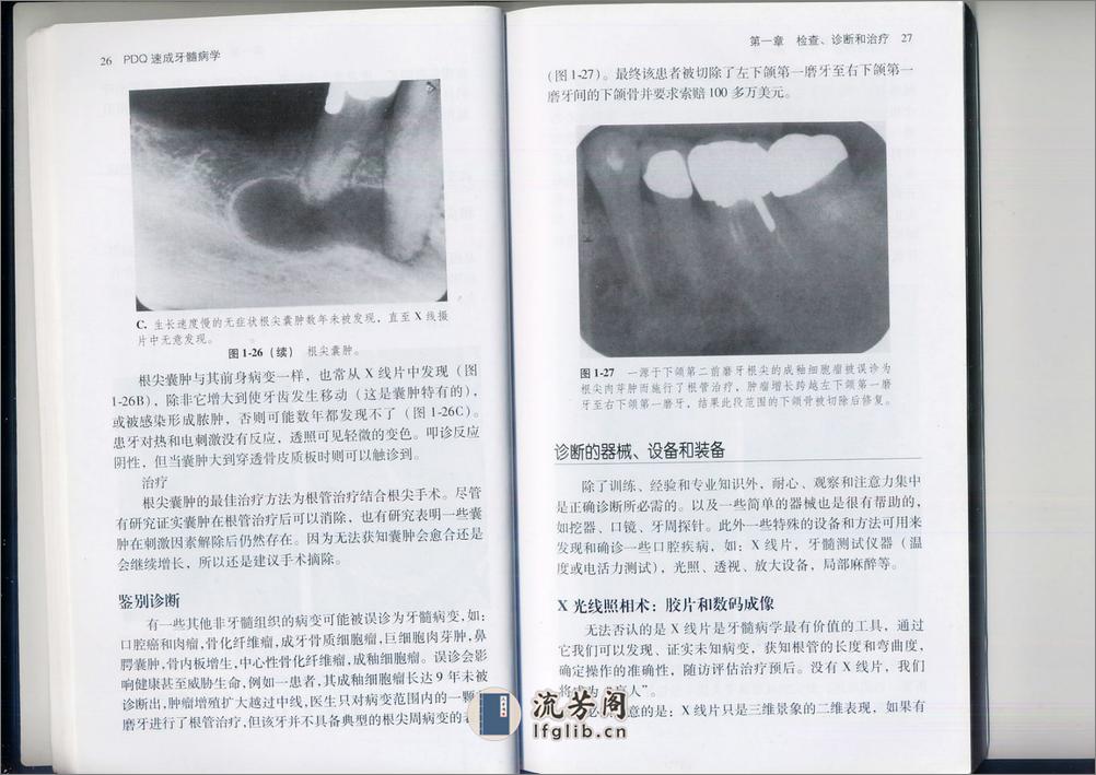 PDQ速成牙髓病学 - 第15页预览图