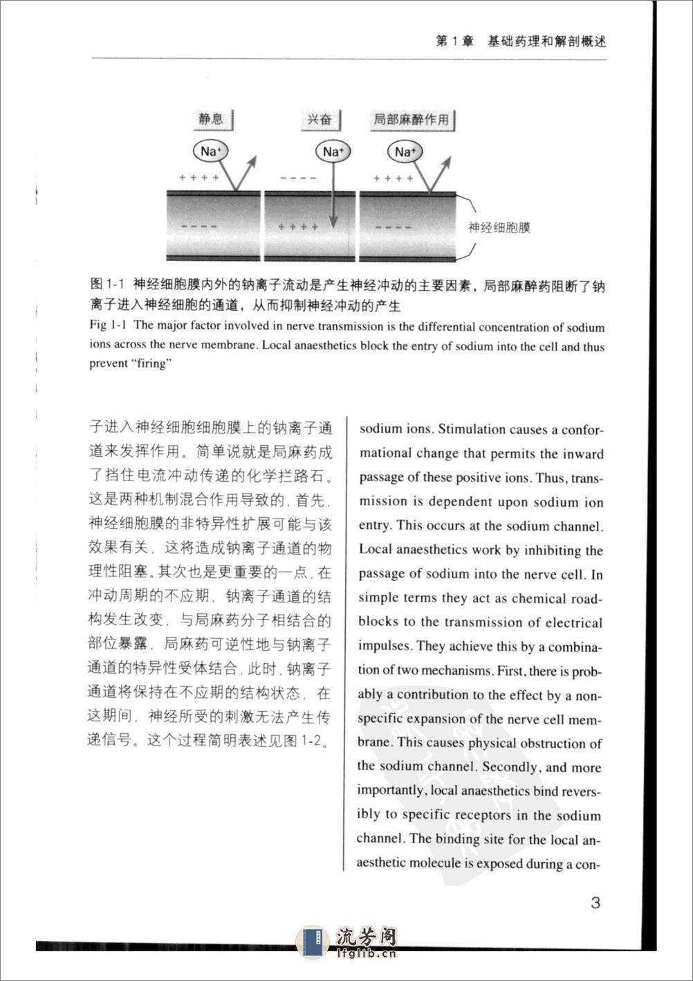 实用口腔局部麻醉学++（中英文对照） - 第11页预览图