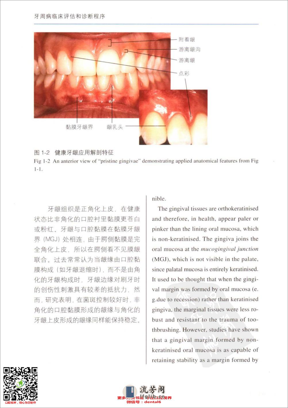 牙周病临床评估 口腔临床要点快速掌握系列 - 第13页预览图