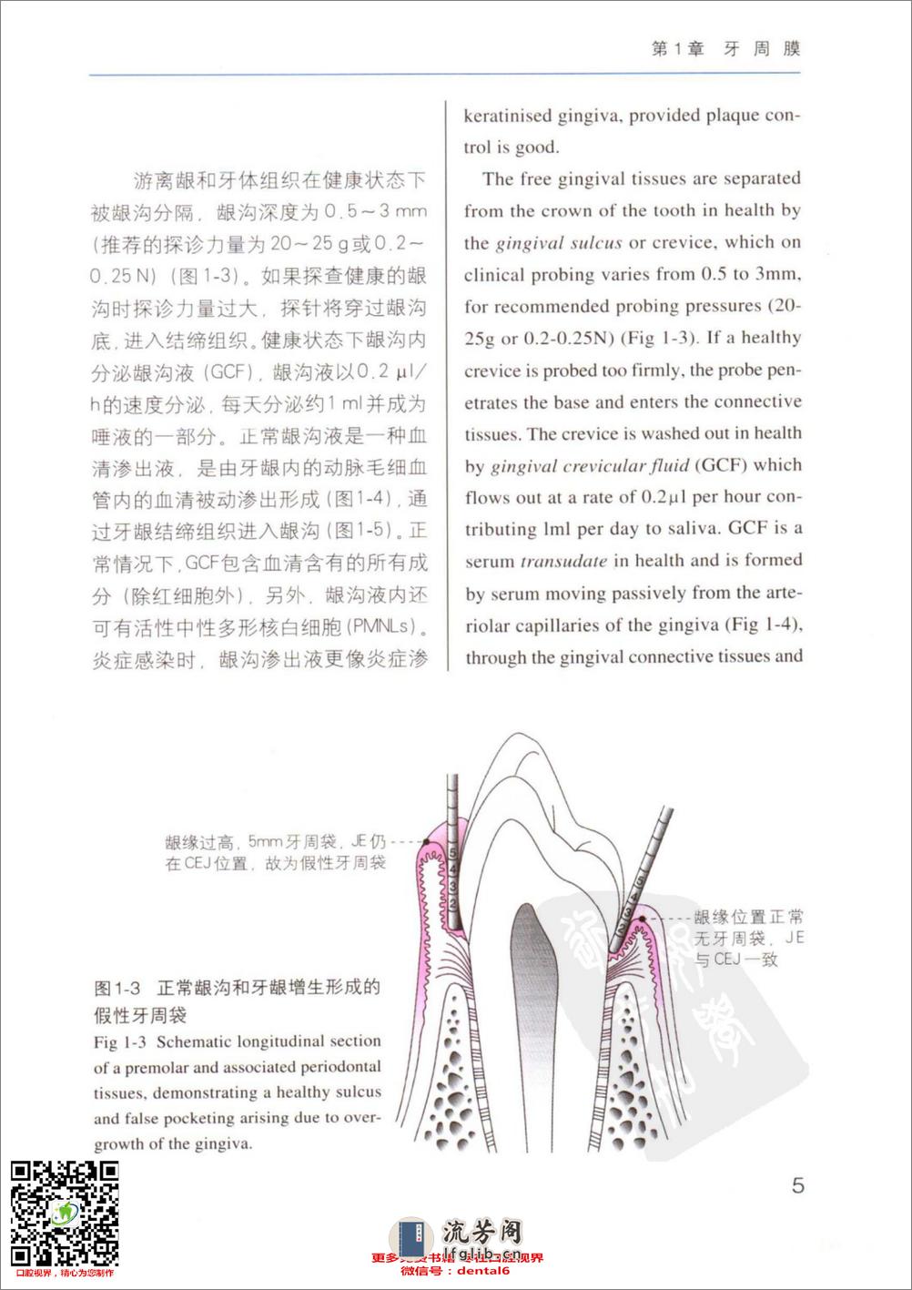 牙周病临床评估 口腔临床要点快速掌握系列 - 第14页预览图