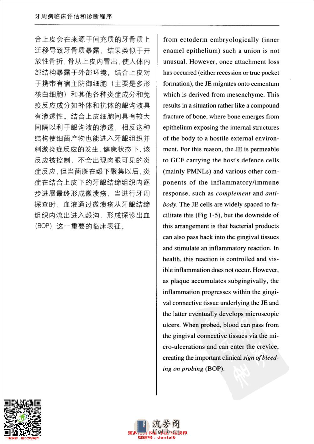 牙周病临床评估 口腔临床要点快速掌握系列 - 第17页预览图