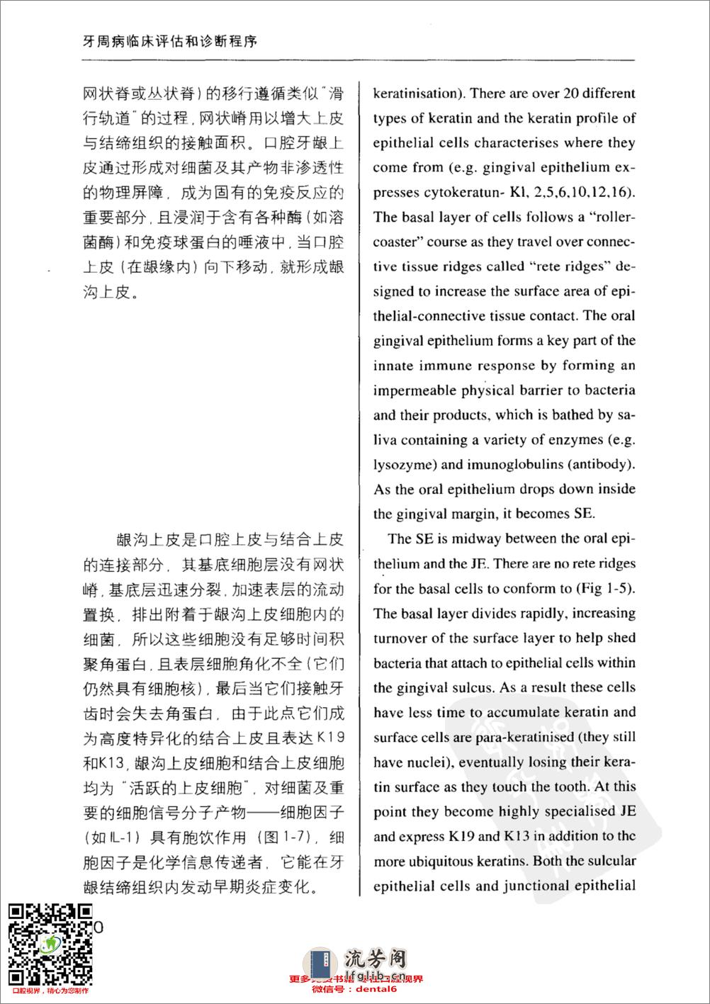 牙周病临床评估 口腔临床要点快速掌握系列 - 第19页预览图