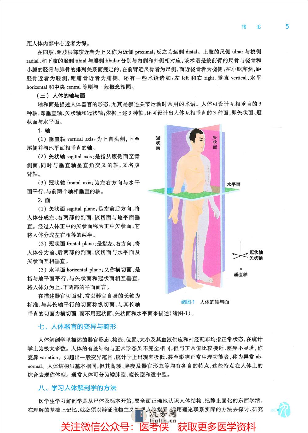 《系统解剖学》人卫第9版教材--高清彩色 - 第15页预览图