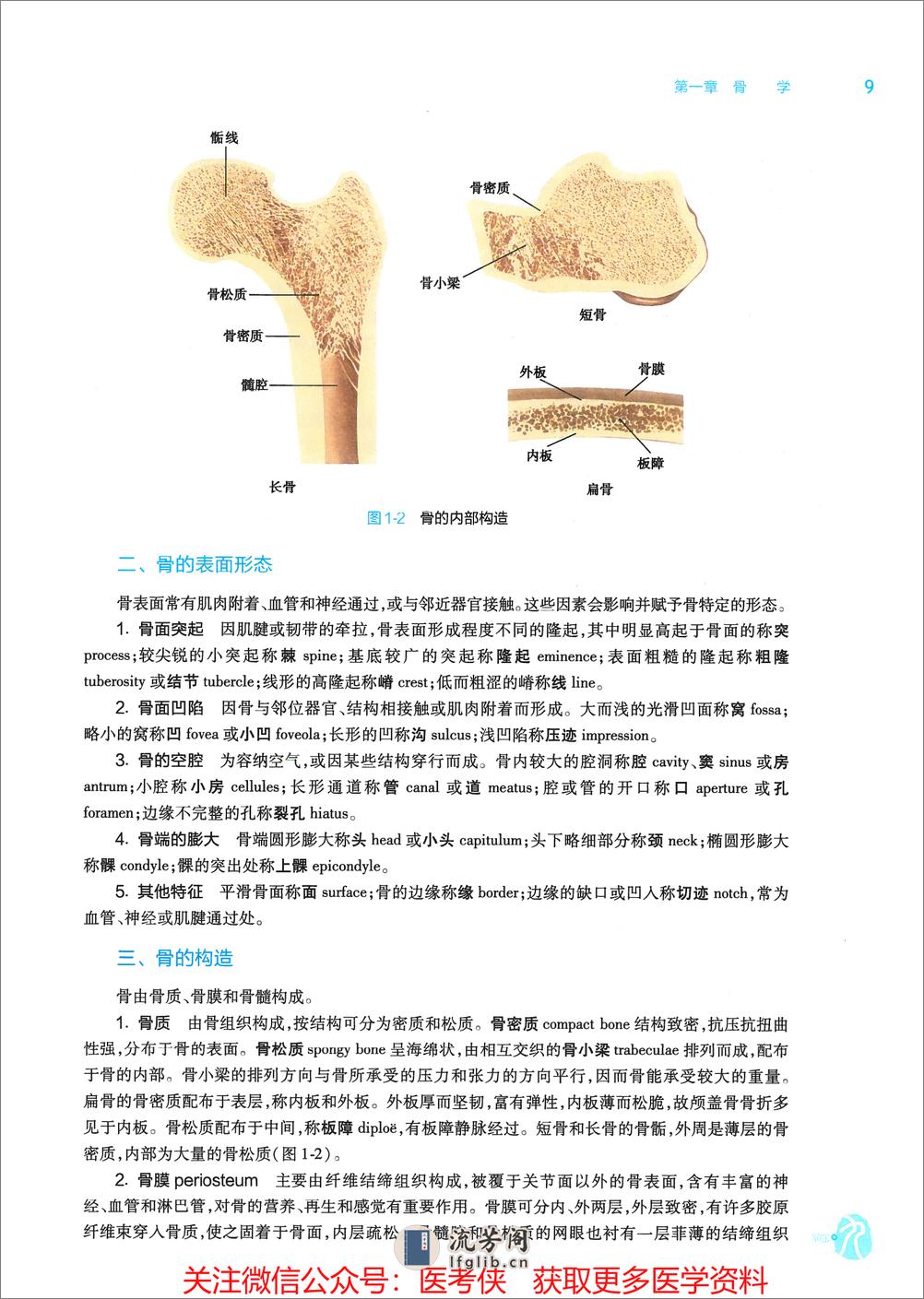 《系统解剖学》人卫第9版教材--高清彩色 - 第19页预览图