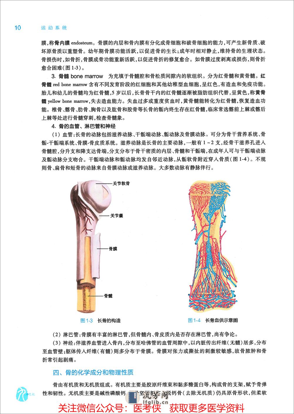 《系统解剖学》人卫第9版教材--高清彩色 - 第20页预览图
