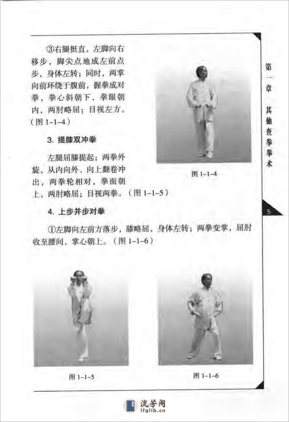 《传统查拳·下卷》刘鸿池 - 第15页预览图