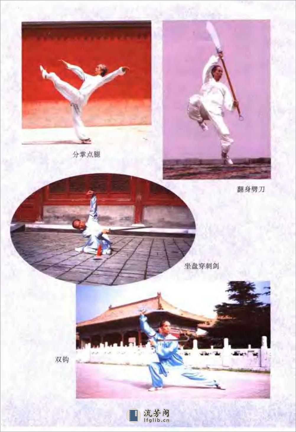 《传统查拳·下卷》刘鸿池 - 第4页预览图