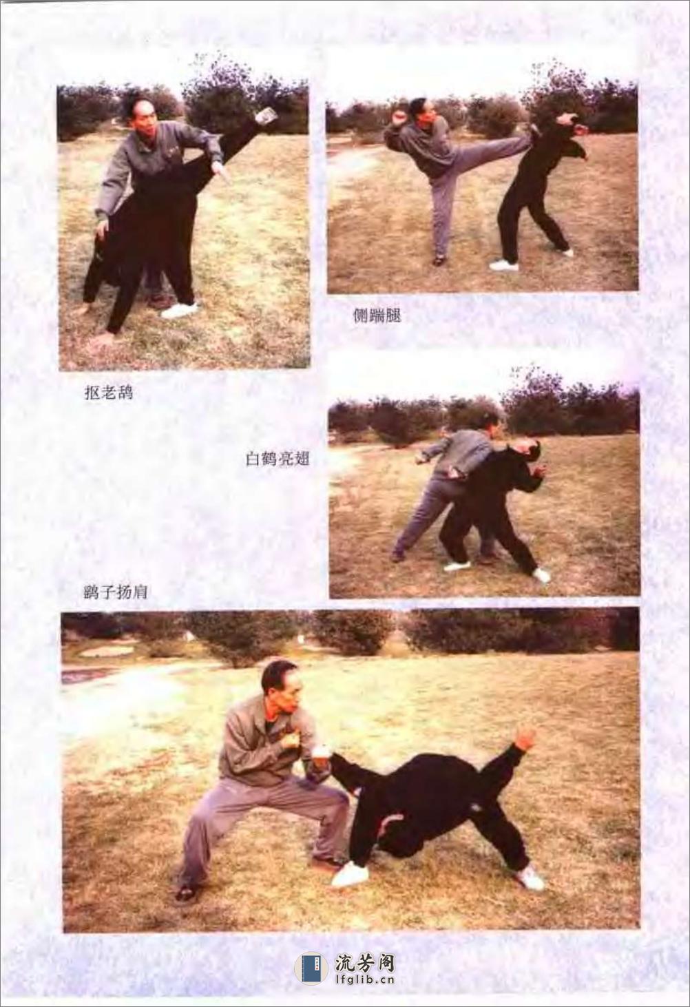 《传统查拳·下卷》刘鸿池 - 第5页预览图