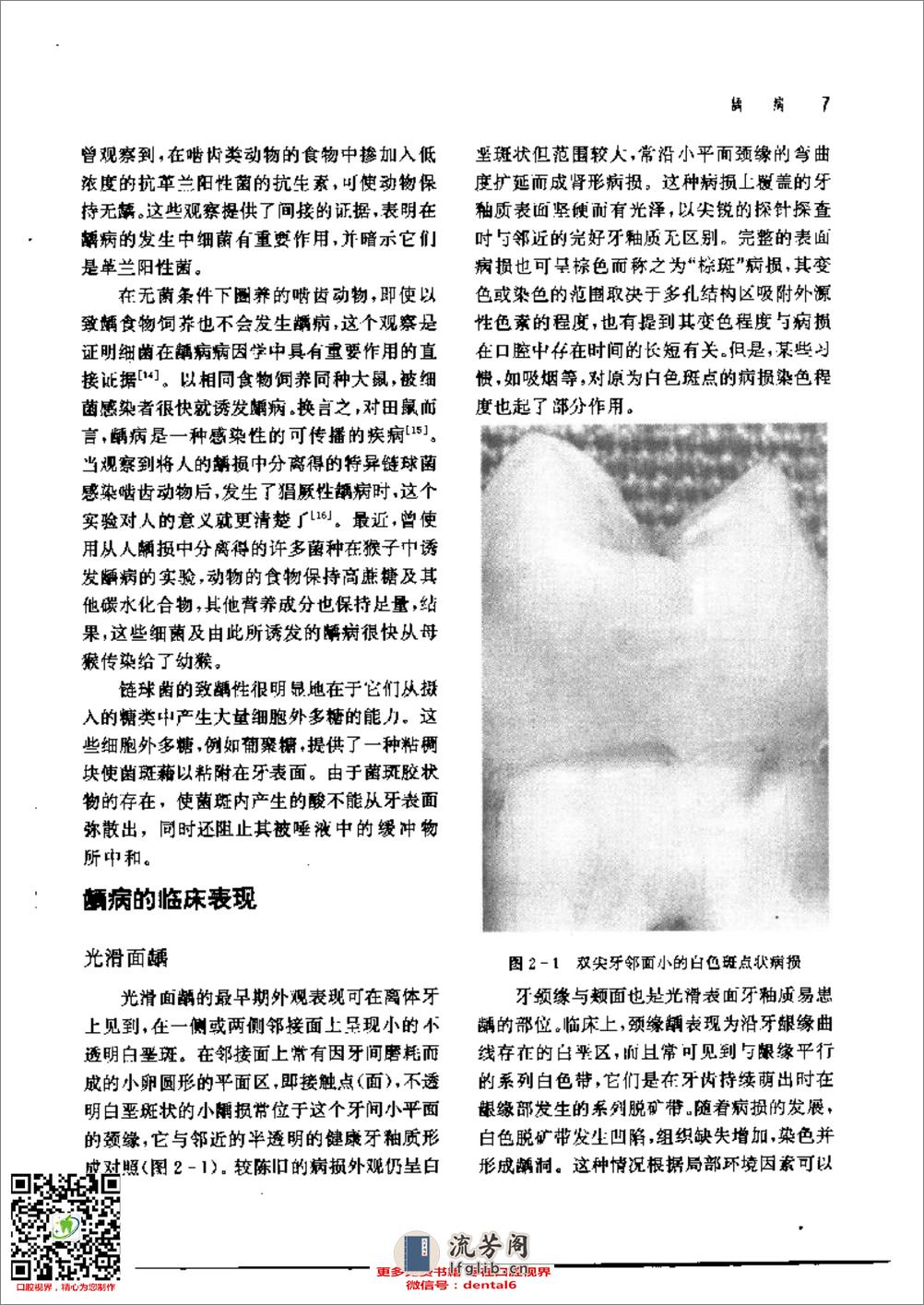 新概念牙体修复学 - 第16页预览图