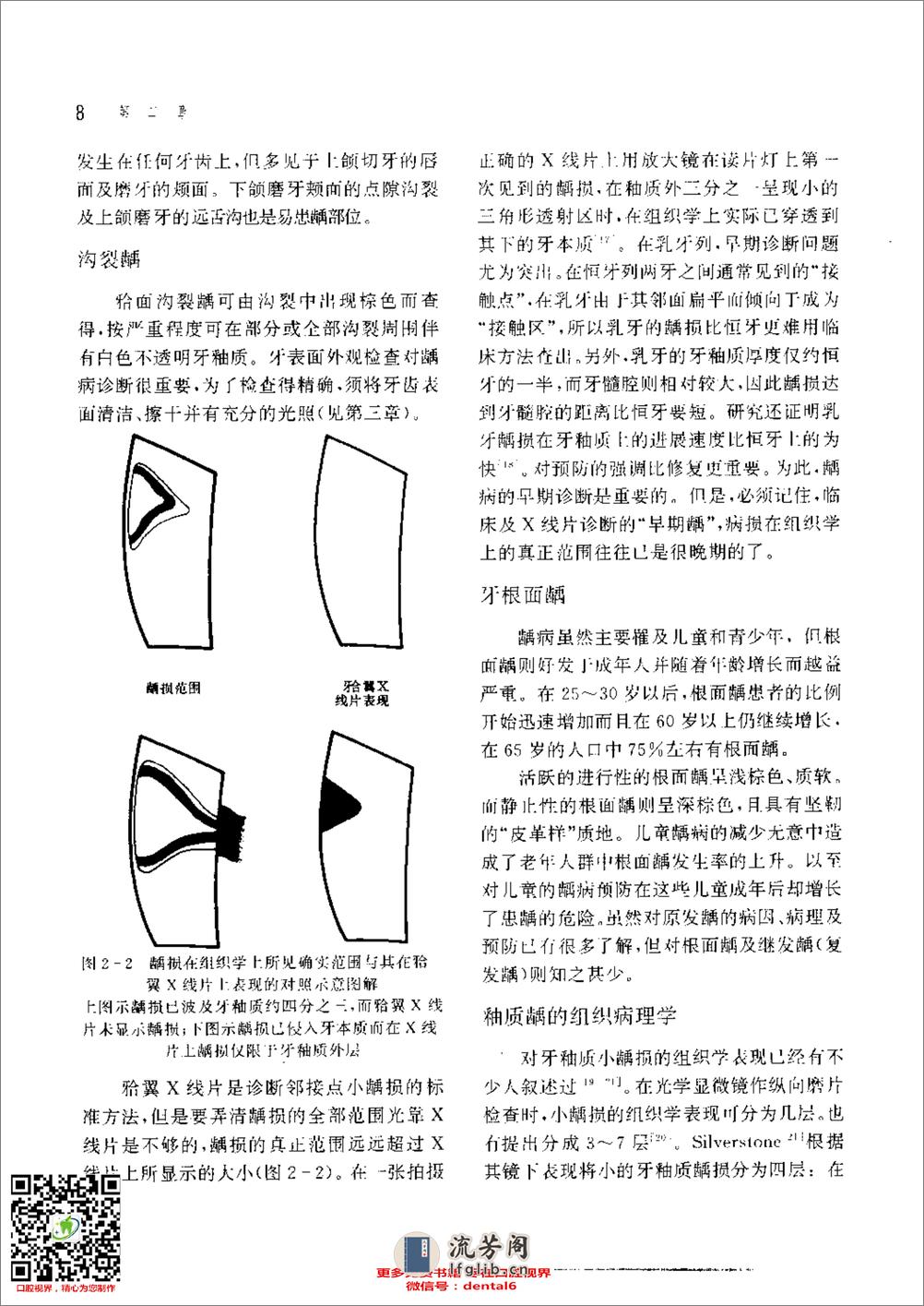 新概念牙体修复学 - 第17页预览图