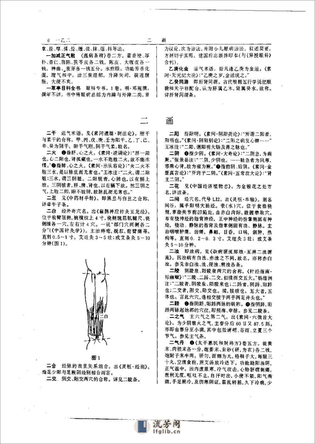 中医大辞典 - 第6页预览图