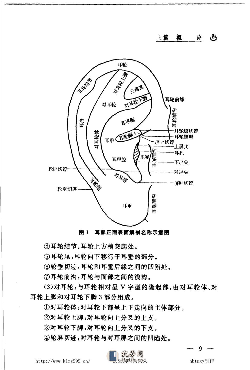 耳针疗法治百病·程爵棠 - 第19页预览图