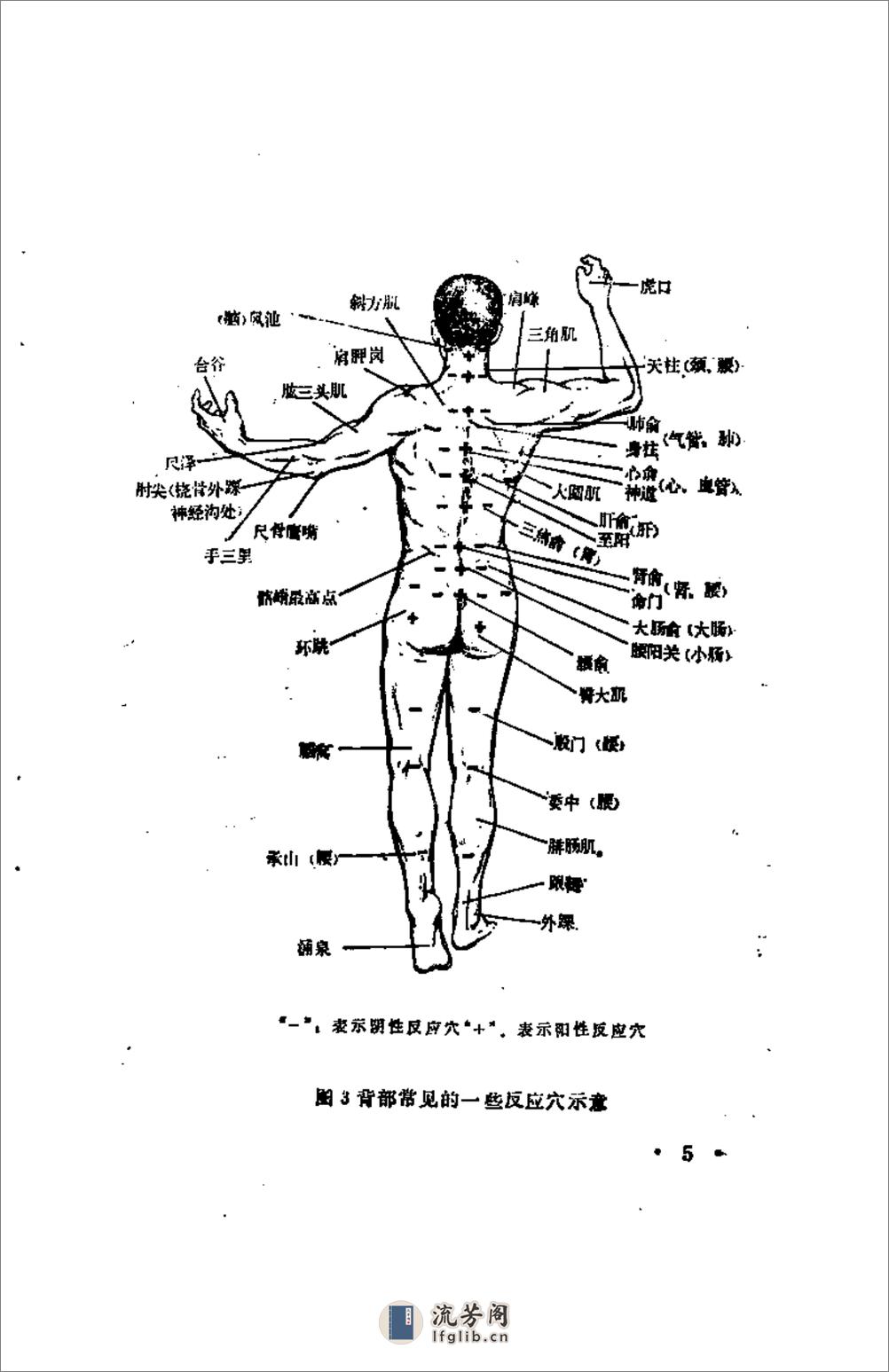 [秘传简明彭祖五部功].刘德华 - 第15页预览图