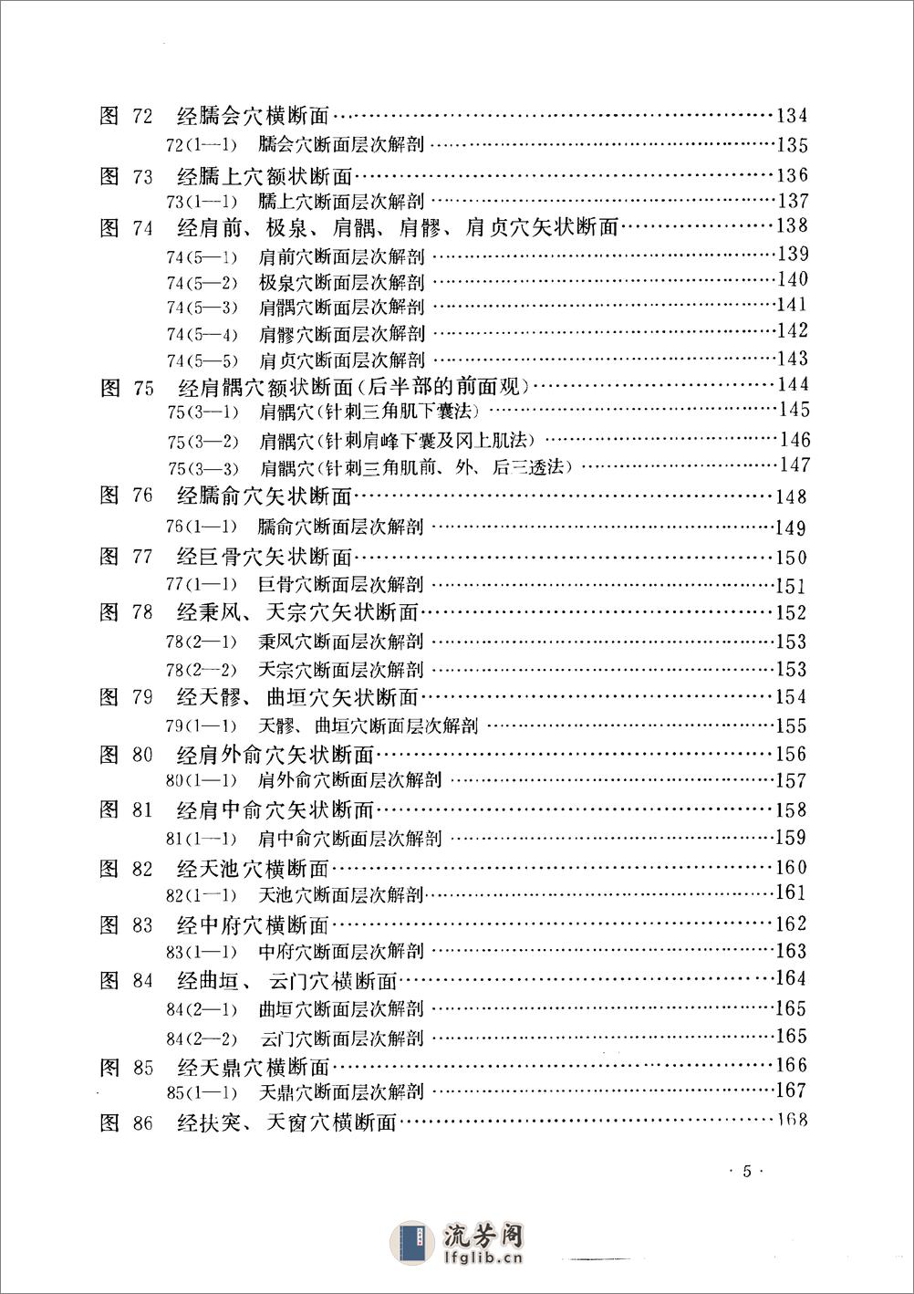 经穴断面解剖图解（上肢部分） - 第13页预览图