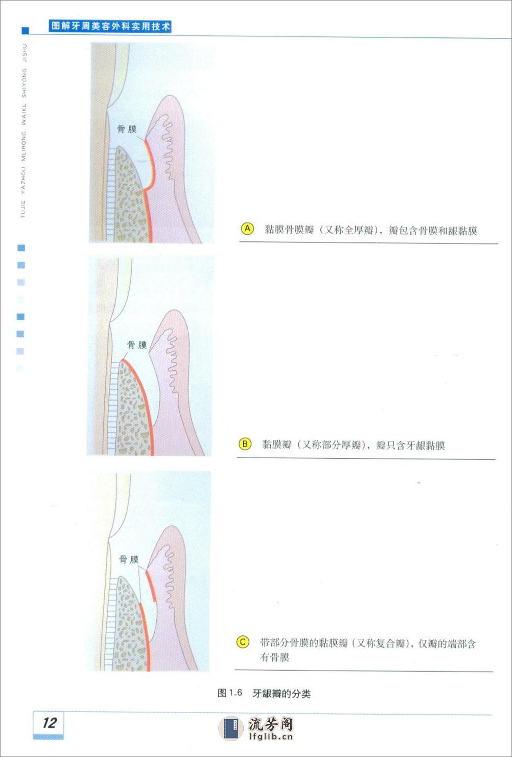 图解牙周美容外科实用技术 - 第19页预览图