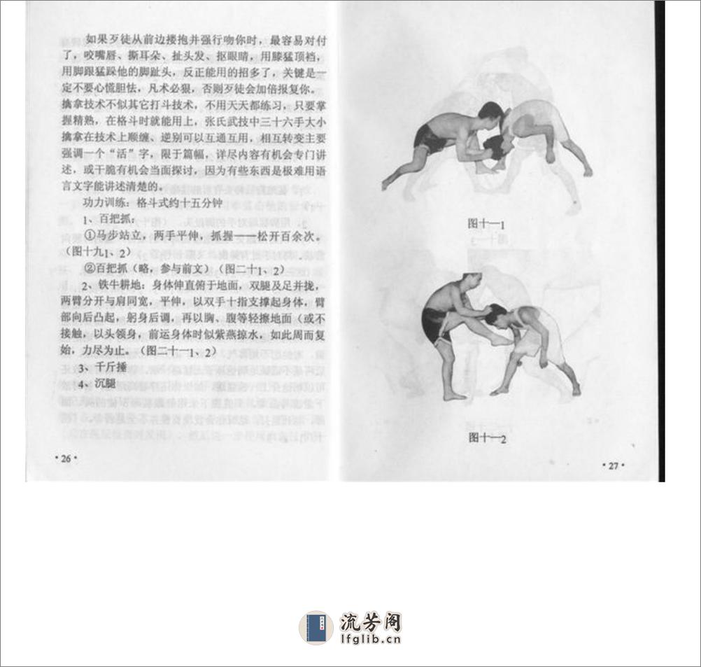 朴真拳学无规则散手十日通 - 第15页预览图