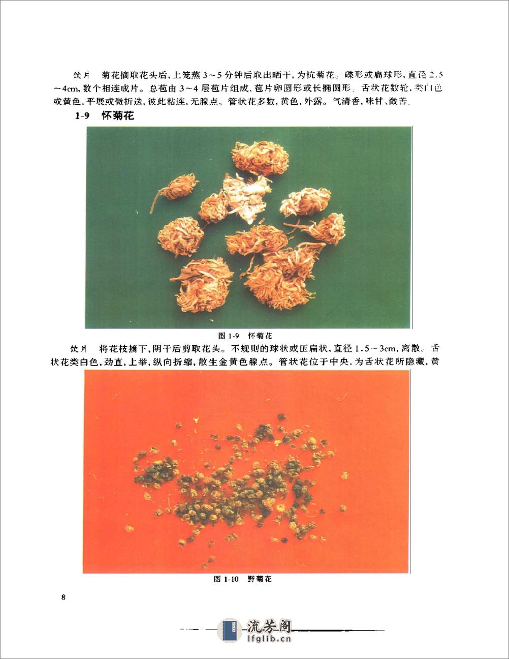 神农本草经彩色图谱（全） - 第16页预览图