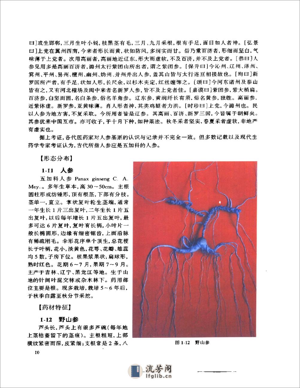 神农本草经彩色图谱（全） - 第18页预览图