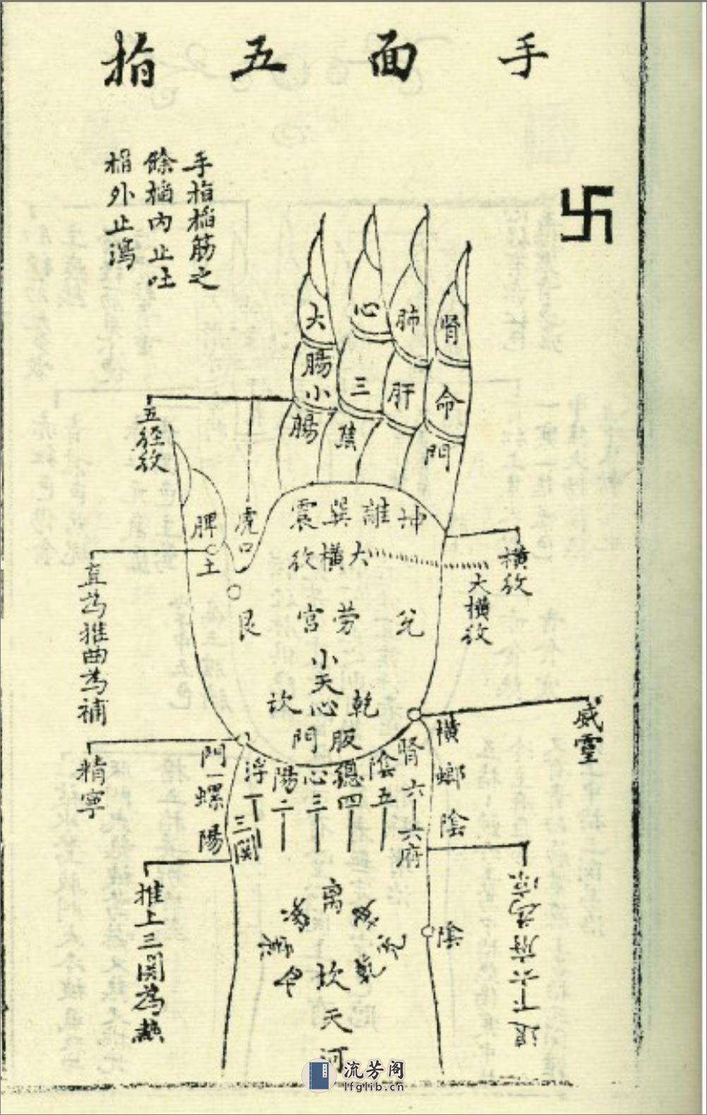 新刻幼科百效全书卷上幼科急救推拿法 - 第16页预览图