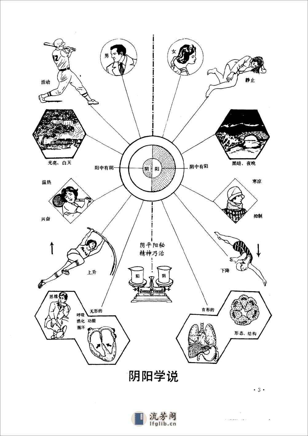 中医精髓图解 汤泰元1997 - 第11页预览图