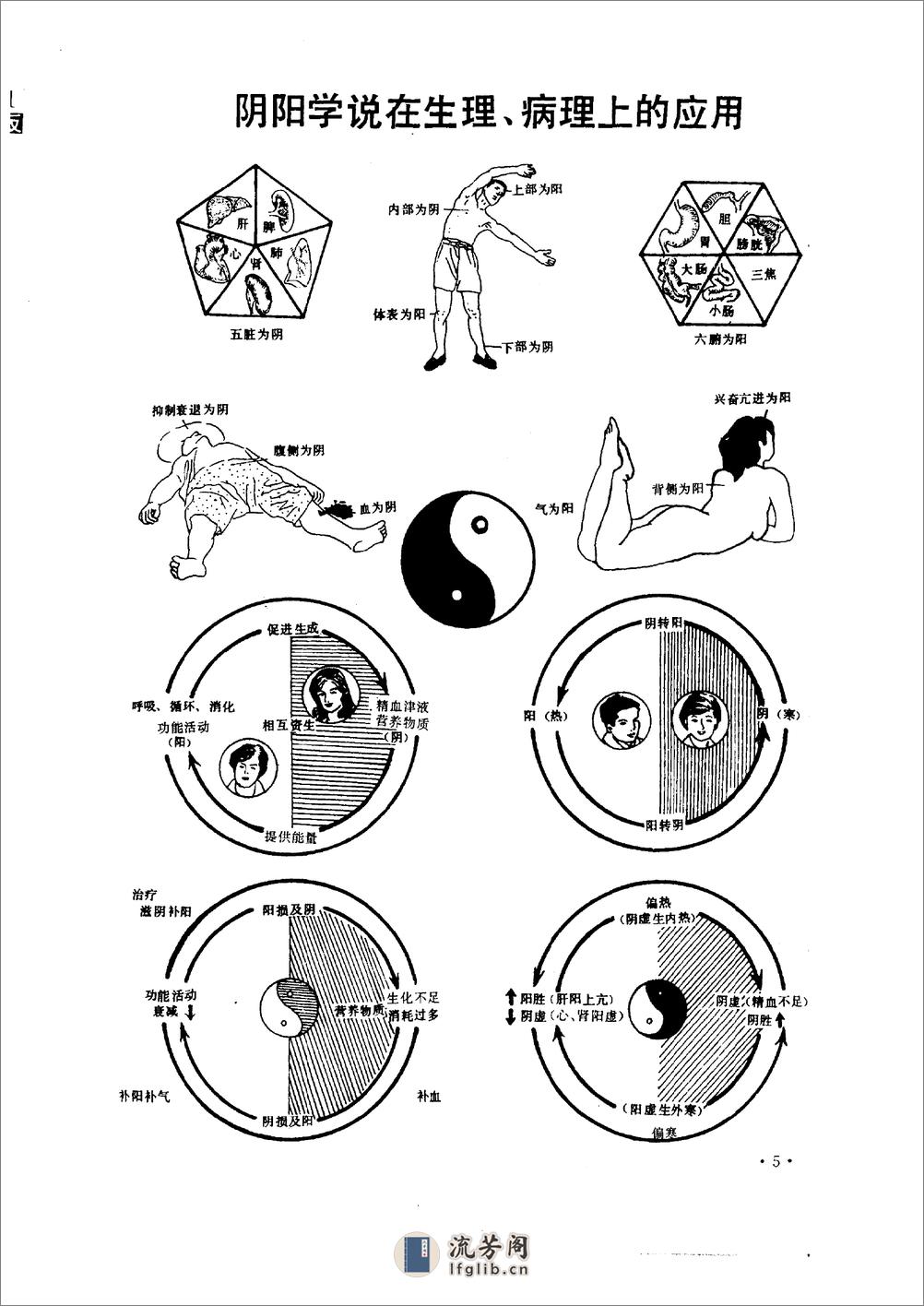 中医精髓图解 汤泰元1997 - 第13页预览图