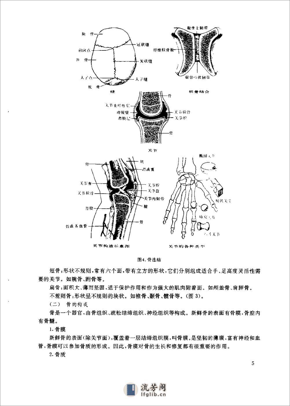 [气功医疗保健技术].孔国鉴 - 第13页预览图